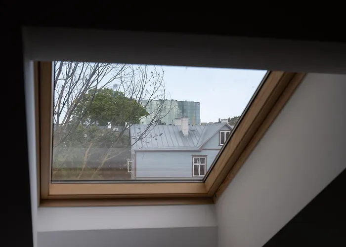 & Cozy Rooftop Flat * 塔林