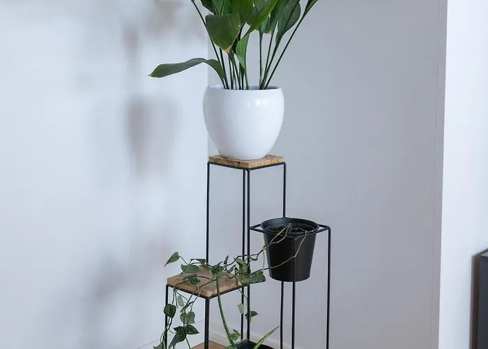 公寓 & Cozy Rooftop Flat *