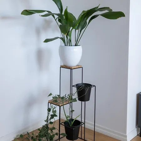 Apartamento & Cozy Rooftop Flat *